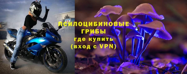 шишки Абинск