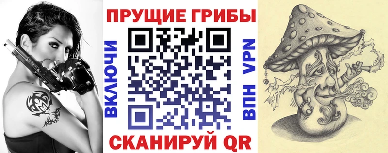 Псилоцибиновые грибы Psilocybe Клинцы