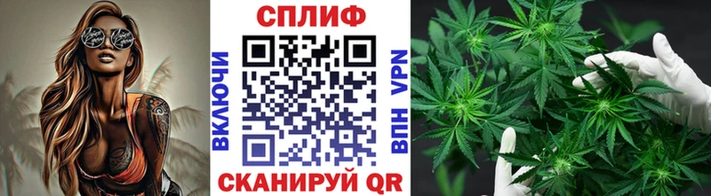где продают наркотики  Клинцы  Канабис OG Kush 